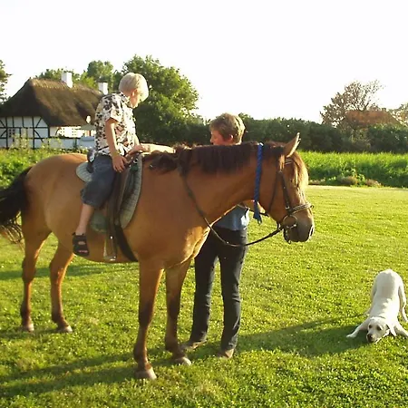 Hostel Faldsled Hostel Faldsled