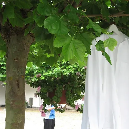 Faldsled Hostel Faldsled