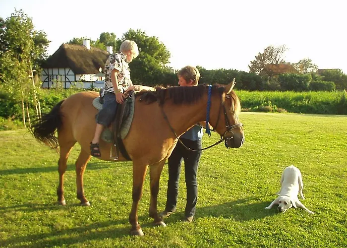Vandrarhem Faldsled Hostel Faldsled