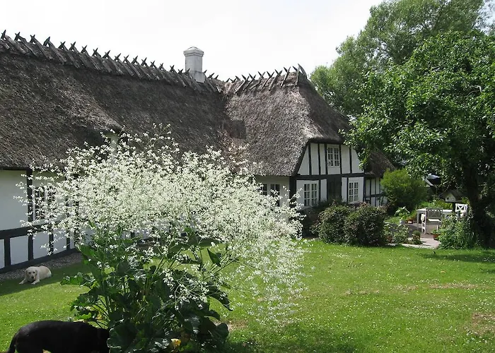 호스텔 Faldsled Hostel